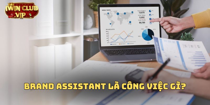 Brand Assistant là công việc gì?